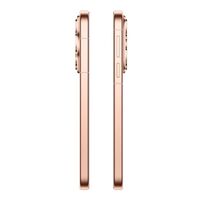 Смартфон Huawei PURA 80 12+256Gb, золотой [51098KET] фотографии