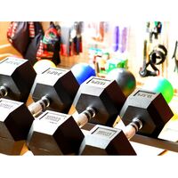Гантели: Гантель гексагональная Original FitTools FT-HEX-47,5 47,5 кг фотографии