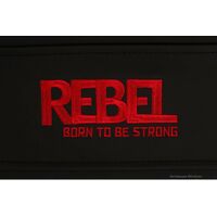 Скамьи и стойки под штангу: Скамья горизонтальная Rebel F21 Максимальная нагрузка 150 кг [RFB21] фотографии