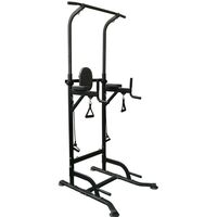 Турники и брусья: Силовая стойка для подтягиваний с эспандерами Royal Fitness HB-DG006 фотографии