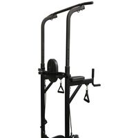 Турники и брусья: Силовая стойка для подтягиваний с эспандерами Royal Fitness HB-DG006 фотографии