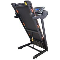 Беговые дорожки: Беговая дорожка электрическая Royal Fitness RF-6 фотографии