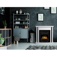 Камины: Очаг электрический Electrolux Classic EFP/P-1020LS фотографии