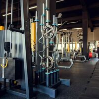 Системы хранения: Вертикальный держатель для олимпийских грифов PROFI-FIT 3010D, на 8 шт. фотографии