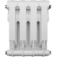Радиаторы: Радиатор Royal Thermo BiLiner 350 /Bianco Traffico 4 секций [RTBBT35004] фотографии