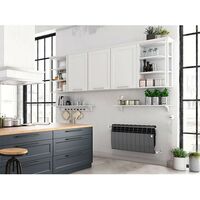 Радиаторы: Радиатор Royal Thermo BiLiner 350 /Noir Sable 4 секций [RTBNS35004] фотографии