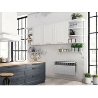 Радиаторы: Радиатор Royal Thermo BiLiner 350 /Silver Satin 8 секций [RTBSS35008] фотографии