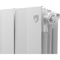 Радиаторы: Радиатор Royal Thermo PianoForte 300 /Bianco Traffico 8 секций [RTPBT30008] фотографии