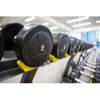 Гантели:  Гантельный ряд POWER (шаг 2,5 кг, 5 пар) PROFI-FIT 27,5-37,5 кг фотографии