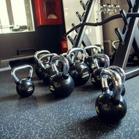 Гири:  Гиря обрезиненная с хромированной ручкой PROFI-FIT 14 кг фотографии