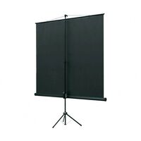 Экраны для проекторов: Экран на штативе Lumien Eco View 183x244см Matte White раб.область 175х236 см [LEV-100112] фотографии