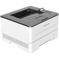 Лазерные принтеры: Принтер лазерный Pantum P3302DN A4, 1200dpi, 33ppm, 256Mb, Duplex, Lan, USB, серый фотографии