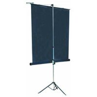 Экраны для проекторов: Экран на штативе Lumien Master View 183x244 см MatteWhiteFiberGlass устойчивый штатив, 4:3 [LMV-100108] фотографии
