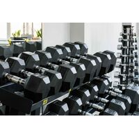 Гантели:  Гантель гексагональная обрезиненная PROFI-FIT 10 кг фотографии