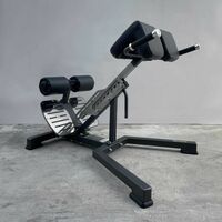 Римские стулья и гиперэкстензии: Гиперэкстензия DHZ A3145 фотографии