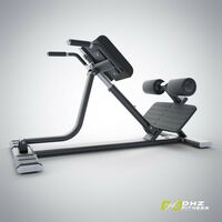 Римские стулья и гиперэкстензии: Гиперэкстензия DHZ E7045 фотографии
