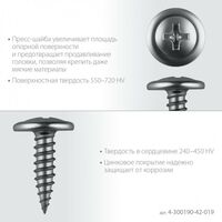 Саморезы: Саморез с пресс-шайбой Зубр ПШМ 19 х 4.2 мм цинк, 14.72 кг [4-300190-42-019] фотографии