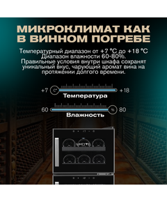 Отдельностоящий винный шкаф Meyvel MV21-BF2 (easy) фотографии