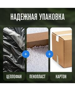 Автохолодильник Alpicool NL50 (12/24) фотографии