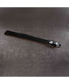 Пояс для тяжелой атлетики с карабином PROFI-FIT L фотографии