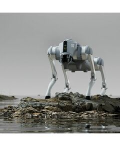 Бионический четырехопорный робот Unitree Go2 Pro фотографии