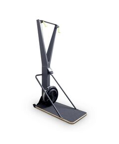 Лыжный тренажер INSIGHT Fitness XF02 фотографии