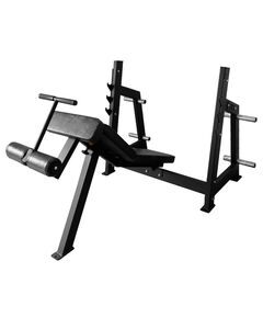 Скамья для жима BRONZE GYM PARTNER AL-306 под углом вниз [BG-AL-306] фотографии
