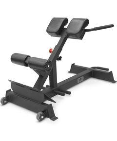 Гиперэкстензия BRONZE GYM PARTNER AL-317 [BG-AL-317] фотографии