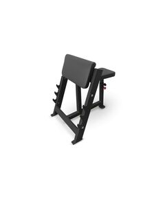 Скамья Скотта BRONZE GYM PARTNER AL-303 фотографии