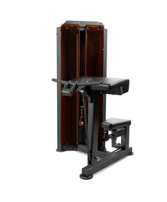 Бицепс-машина BRONZE GYM PARTNER ML-803 профессиональная фотографии
