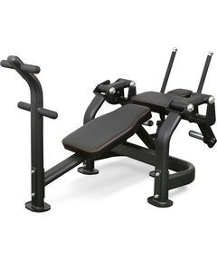 Скамья для пресса BRONZE GYM PL-1720 фотографии
