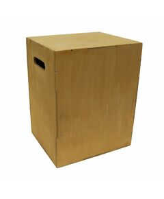 Плиобокс BRONZE GYM PARTNER FL-13 756050 фотографии