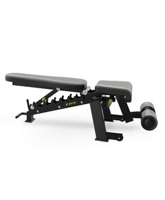Скамья универсальная INSIGHT Fitness DZ61 фотографии