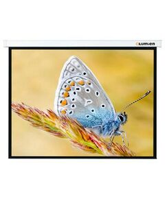 Экраны для проекторов: Экран с электроприводом Lumien Master Control MW 244 x  244 см [LMC-100105] фотографии