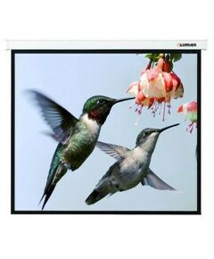 Экраны для проекторов: Экран Lumien Master Picture 150" NTSC MW 229  x 305 см [LMP-100112] фотографии