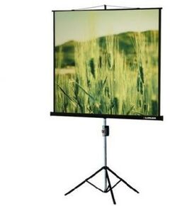 Экраны для проекторов: Экран на треноге Lumien Master View MW 153 x 153cm, 82", 1:1 [LMV-100102] фотографии
