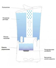 Очистители, увлажнители и осушители воздуха: Увлажнитель воздуха Ballu UHB-205 белый/зеленый фотографии