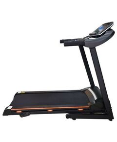 Купить Беговая дорожка электрическая Royal Fitness RF-6 в интернет-магазине Irkshop.ru