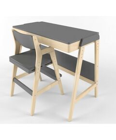 Купить Комплект растущий стол и стул 38 Попугаев «Вуди» комбо серый в интернет-магазине Irkshop.ru
