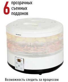 Купить Сушилка для овощей и фруктов Supra DFS-320 500 Вт, 6 съемных секций, изображение 4 в интернет-магазине Irkshop.ru