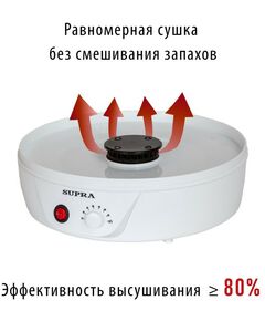 Купить Сушилка для овощей и фруктов Supra DFS-321 350 Вт, 5 съемных секций, изображение 4 в интернет-магазине Irkshop.ru