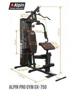 Купить Силовой тренажер Alpin PRO GYM GX-750, изображение 10 в интернет-магазине Irkshop.ru