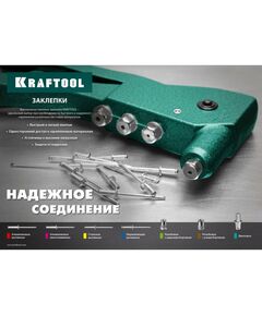 Купить Нержавеющие заклепки KRAFTOOL Inox 4.8 х 25 мм 250 шт [311705-48-25], изображение 2 в интернет-магазине Irkshop.ru