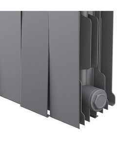 Радиаторы: Радиатор Royal Thermo PianoForte 200 /Silver Satin 12 секций [RTPSS20012] фотографии