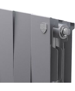 Радиаторы: Радиатор Royal Thermo PianoForte 200 /Silver Satin 12 секций [RTPSS20012] фотографии