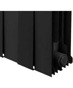 Радиаторы: Радиатор Royal Thermo PianoForte 300 /Noir Sable 10 секций [RTPNS30010] фотографии