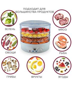 Купить Сушилка для овощей и фруктов Supra DFS-650, изображение 2 в интернет-магазине Irkshop.ru