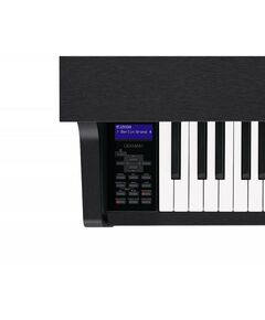 Цифровые фортепиано: Цифровое фортепиано Casio Celviano GP-310BK фотографии
