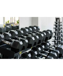 Гантели:  Гантель гексагональная обрезиненная PROFI-FIT 17,5 кг фотографии