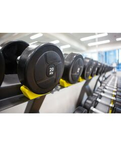 Гантели:  Гантельный ряд POWER (шаг 2,5 кг, 5 пар) PROFI-FIT 27,5-37,5 кг фотографии